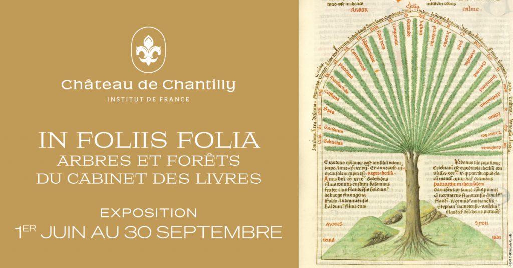 In foliis folia : arbres et forêts