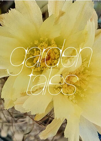Garden tales